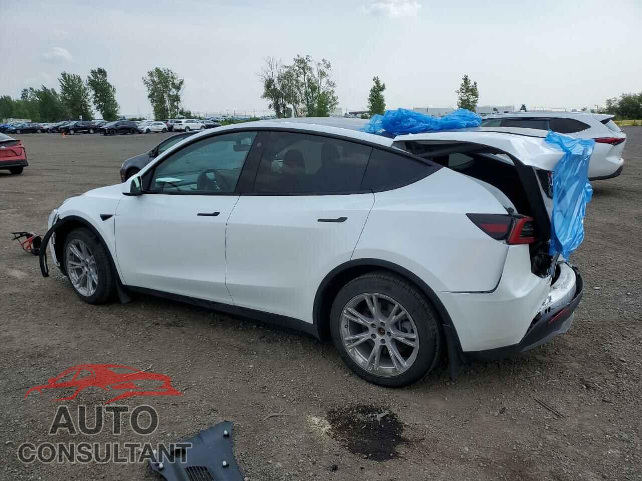 TESLA MODEL Y 2023 - LRWYGDFD0PC966807