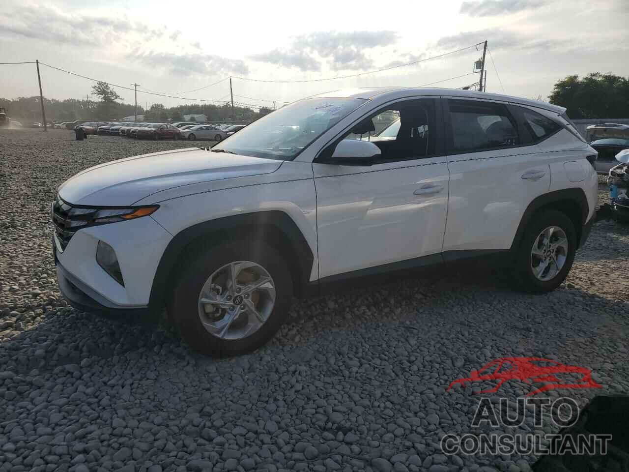 HYUNDAI TUCSON 2024 - 5NMJACDE8RH436892