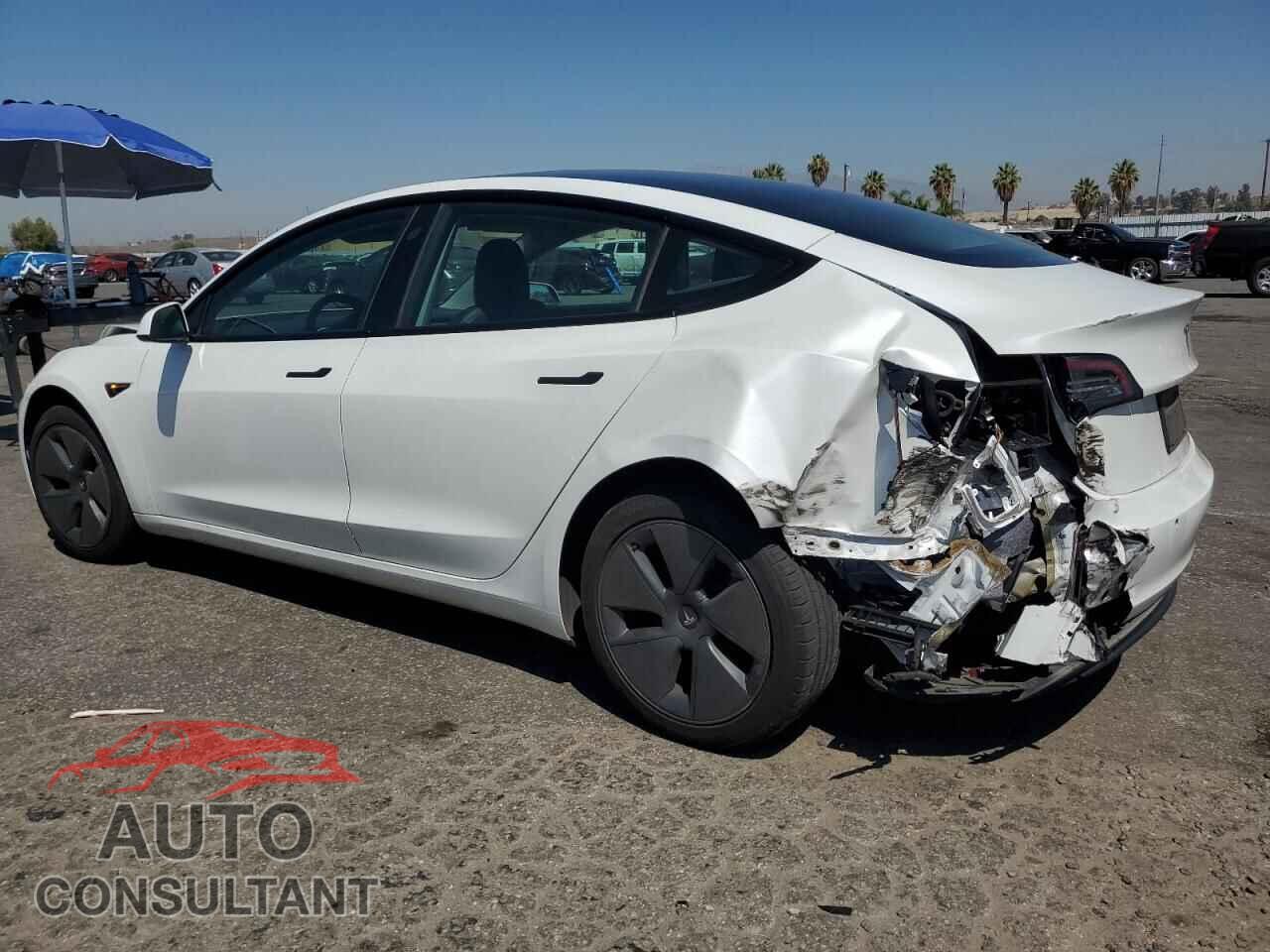 TESLA MODEL 3 2021 - 5YJ3E1EA3MF097496