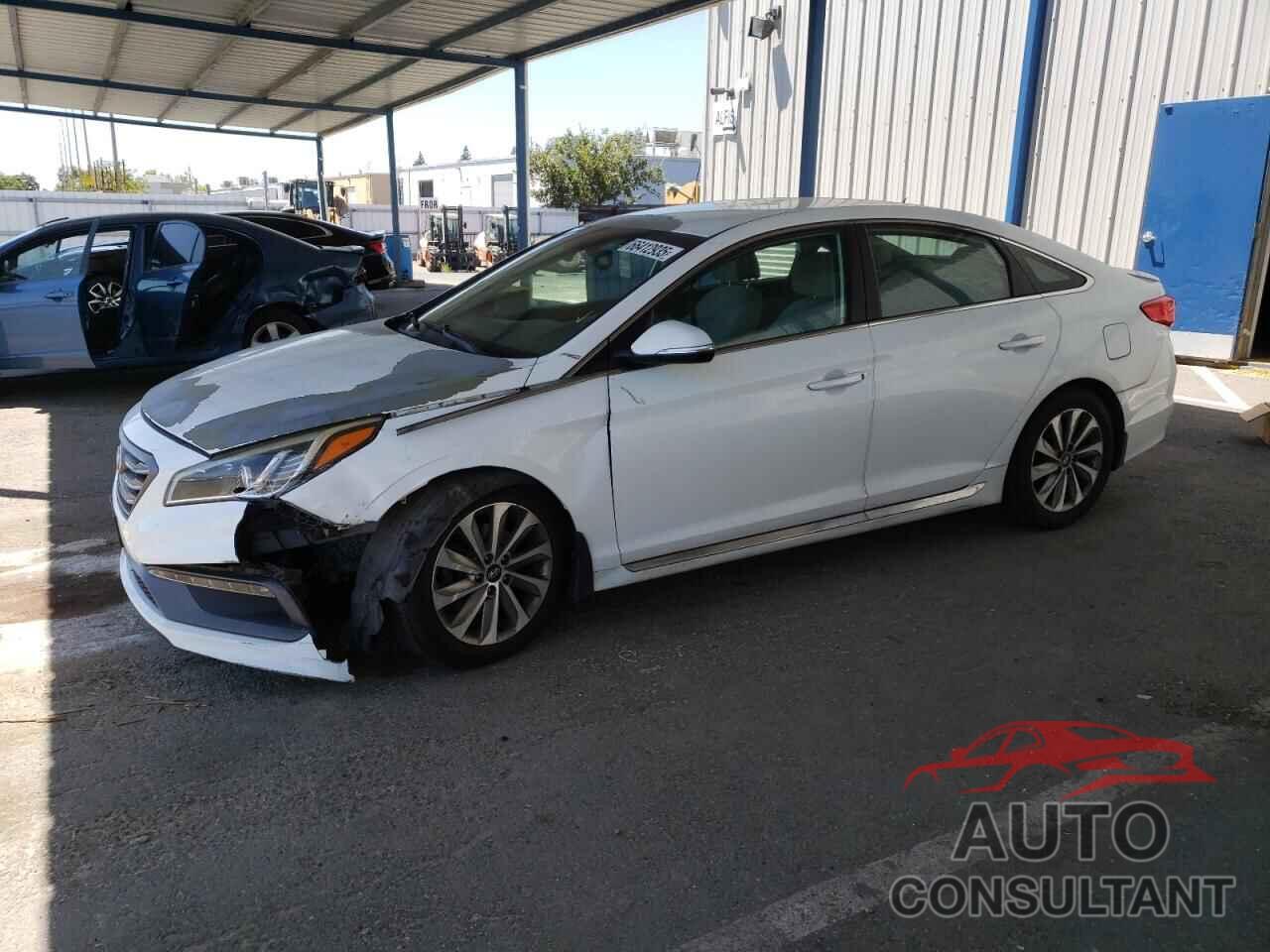 HYUNDAI SONATA 2017 - 5NPE34AF9HH437727