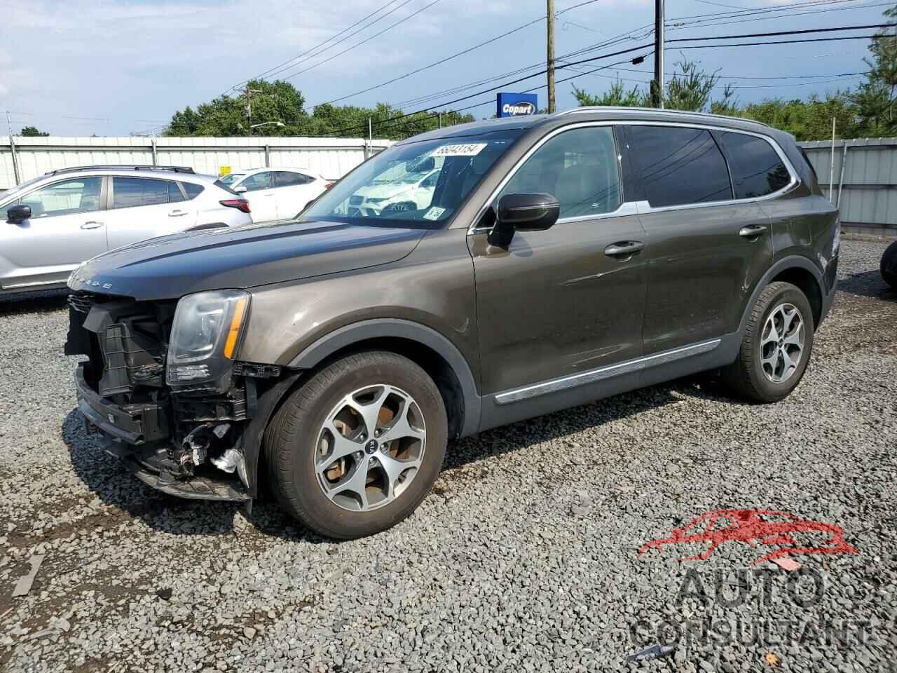 KIA TELLURIDE 2020 - 5XYP3DHC5LG004183