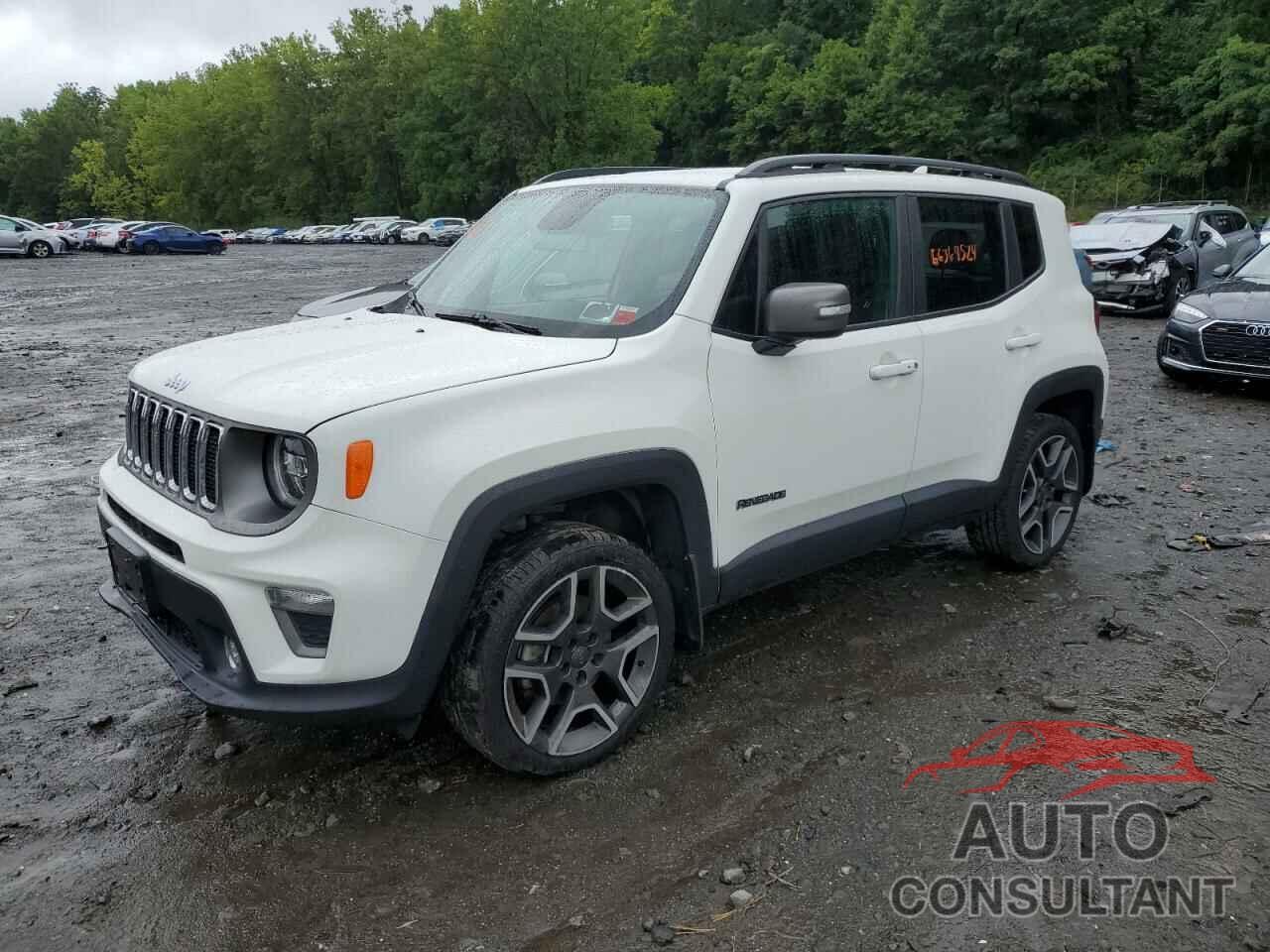 JEEP RENEGADE 2019 - ZACNJBD12KPJ98740