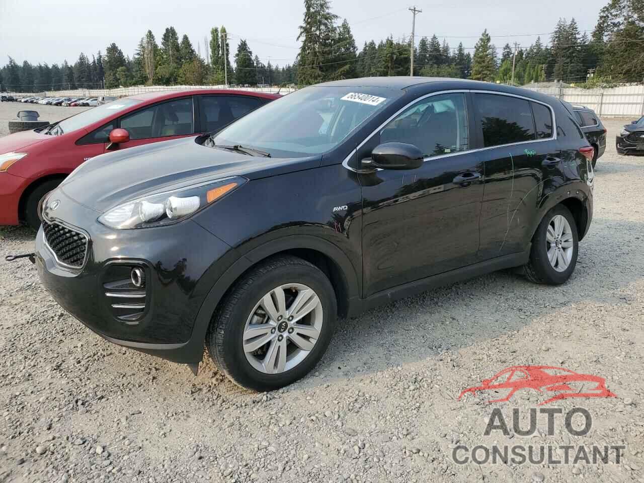 KIA SPORTAGE 2019 - KNDPMCAC3K7518823