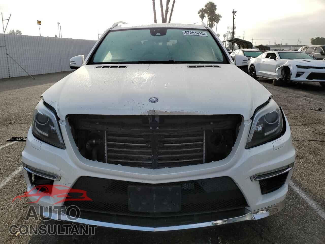 MERCEDES-BENZ GL-CLASS 2014 - 4JGDF7DE6EA414122