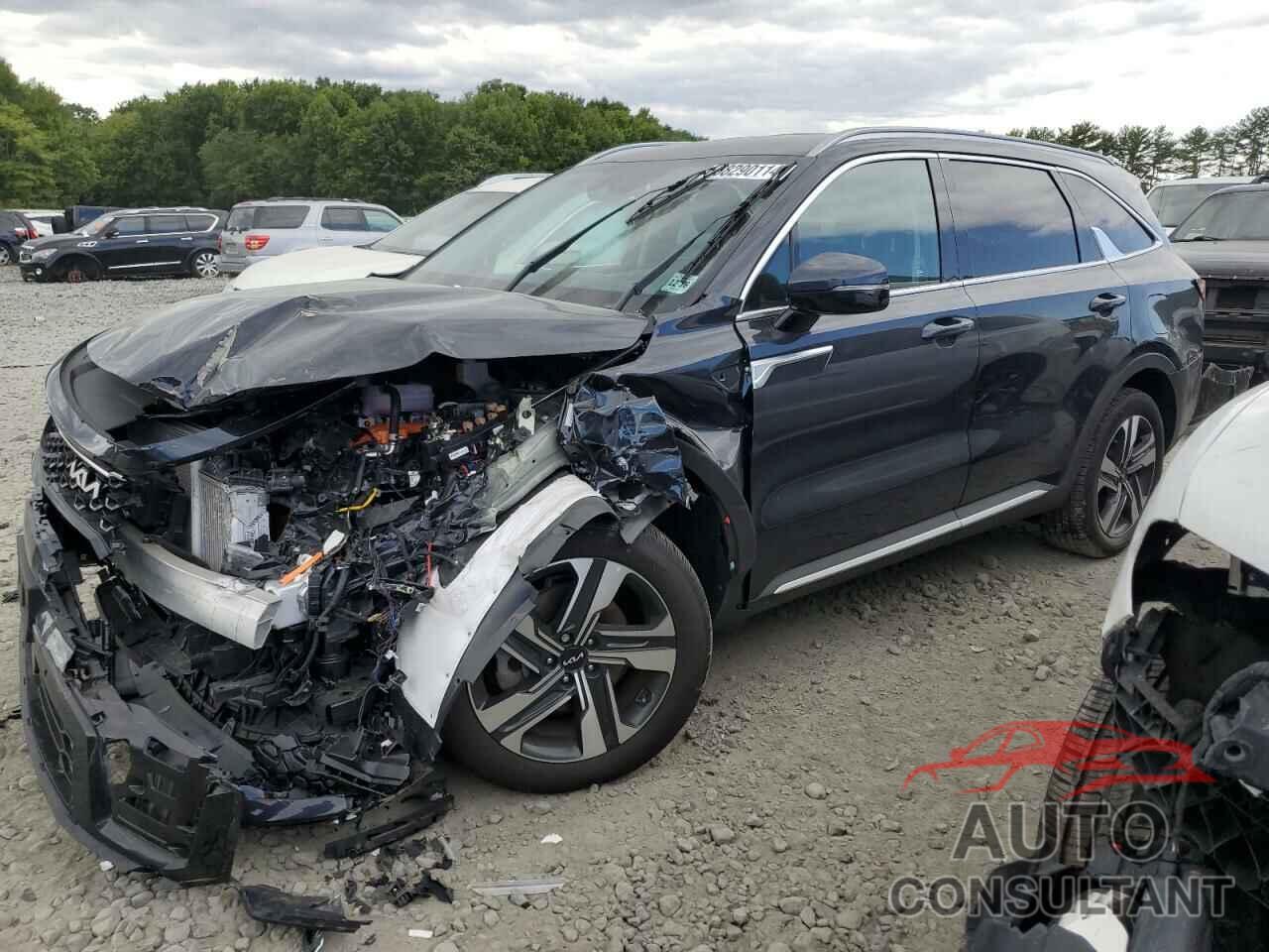 KIA SORENTO 2023 - KNDRHDLG3P5223906