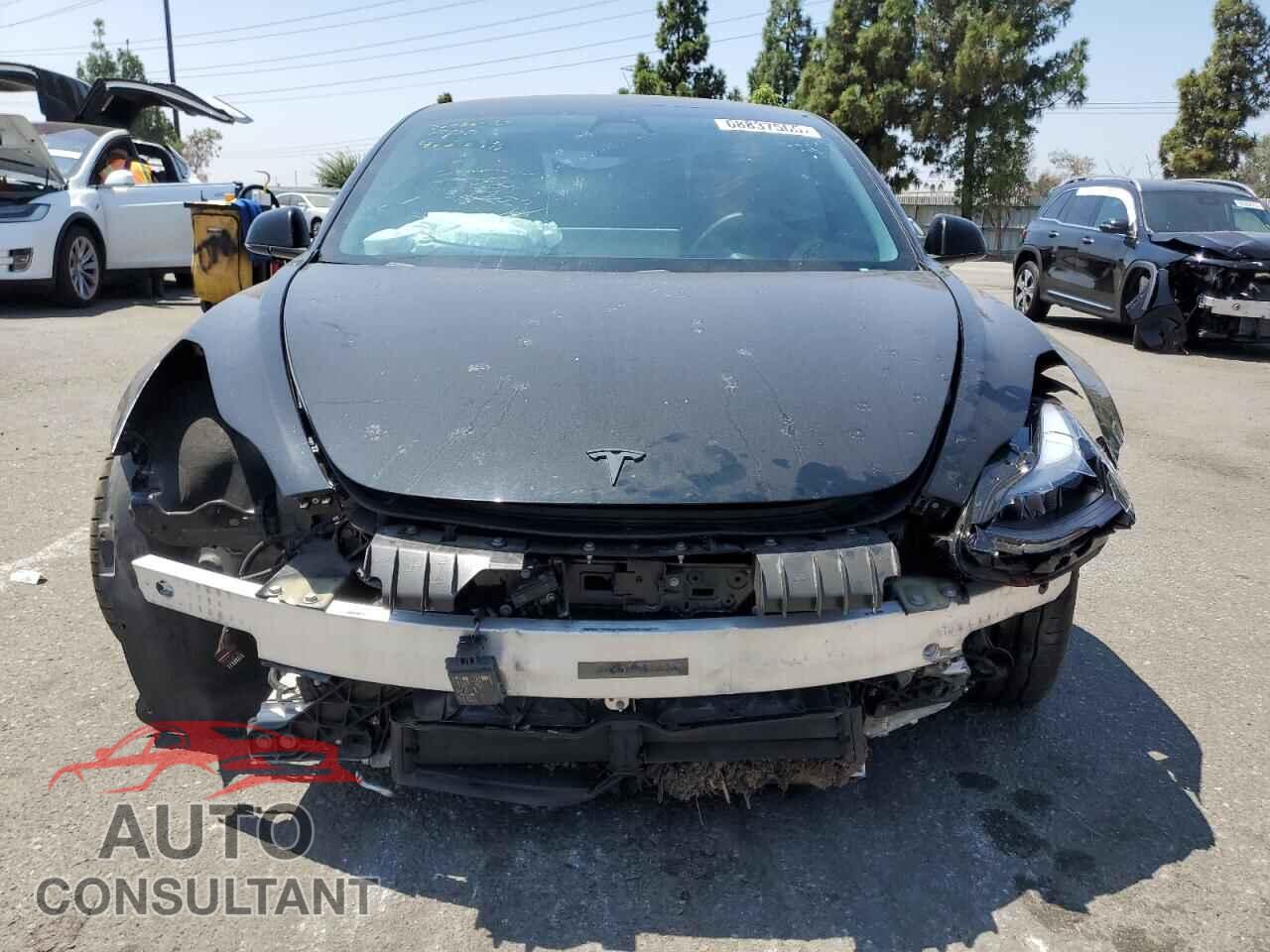 TESLA MODEL 3 2019 - 5YJ3E1EA3KF416098