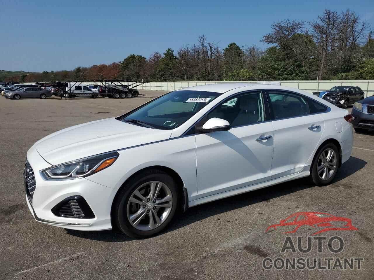 HYUNDAI SONATA 2019 - 5NPE34AF4KH734525