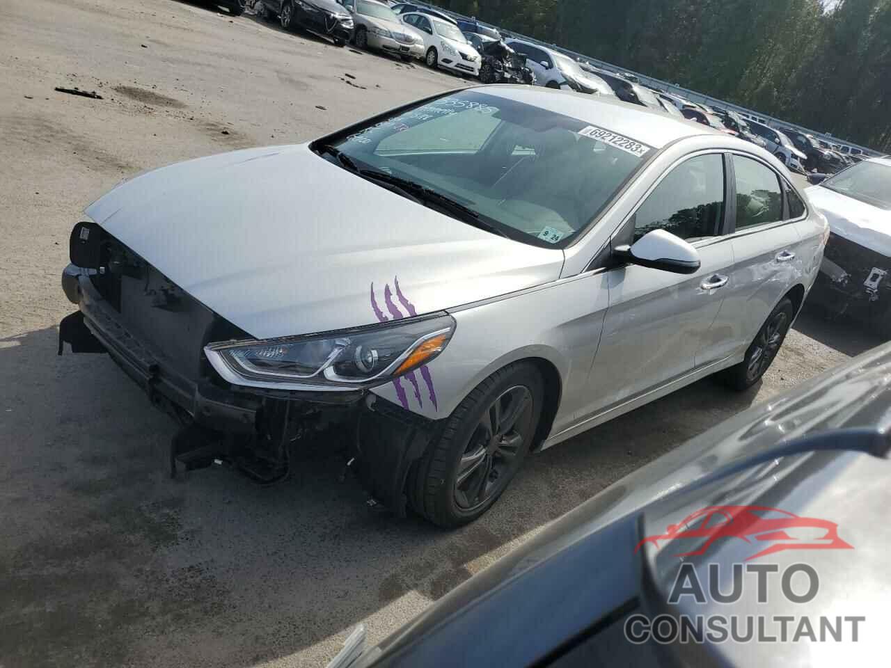 HYUNDAI SONATA 2019 - 5NPE34AF2KH819718