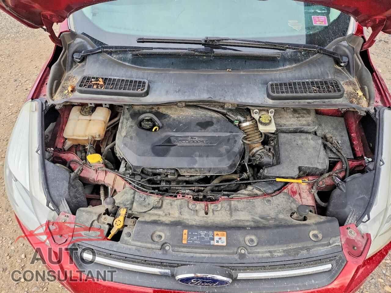 FORD ESCAPE 2014 - 1FMCU9GX2EUE52844