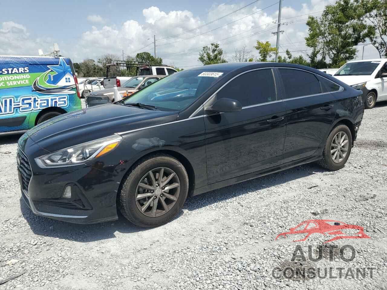 HYUNDAI SONATA 2019 - 5NPE24AF0KH774409