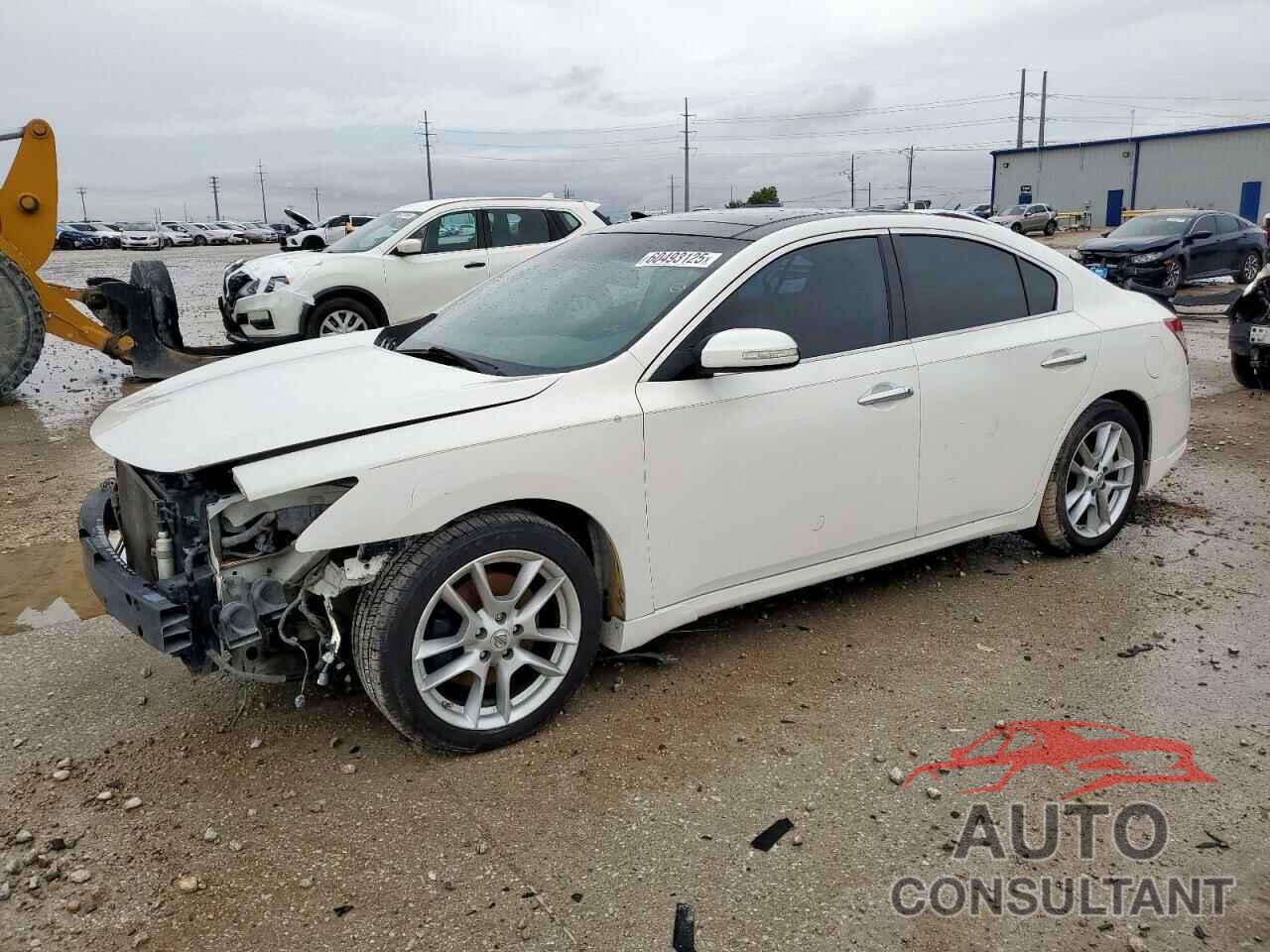 NISSAN MAXIMA 2011 - 1N4AA5AP8BC819453