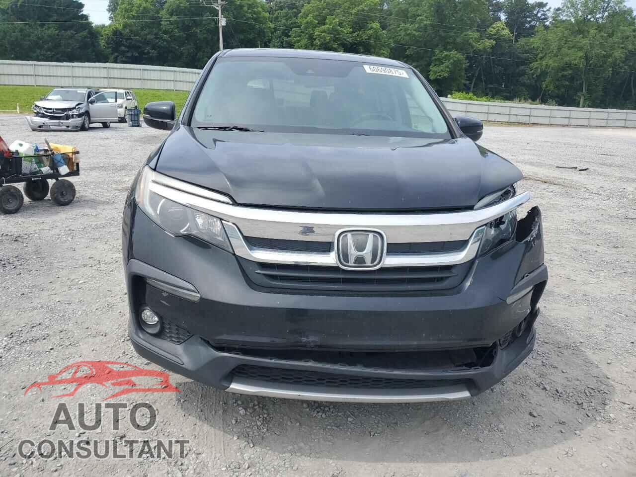 HONDA PILOT 2019 - 5FNYF5H59KB015258