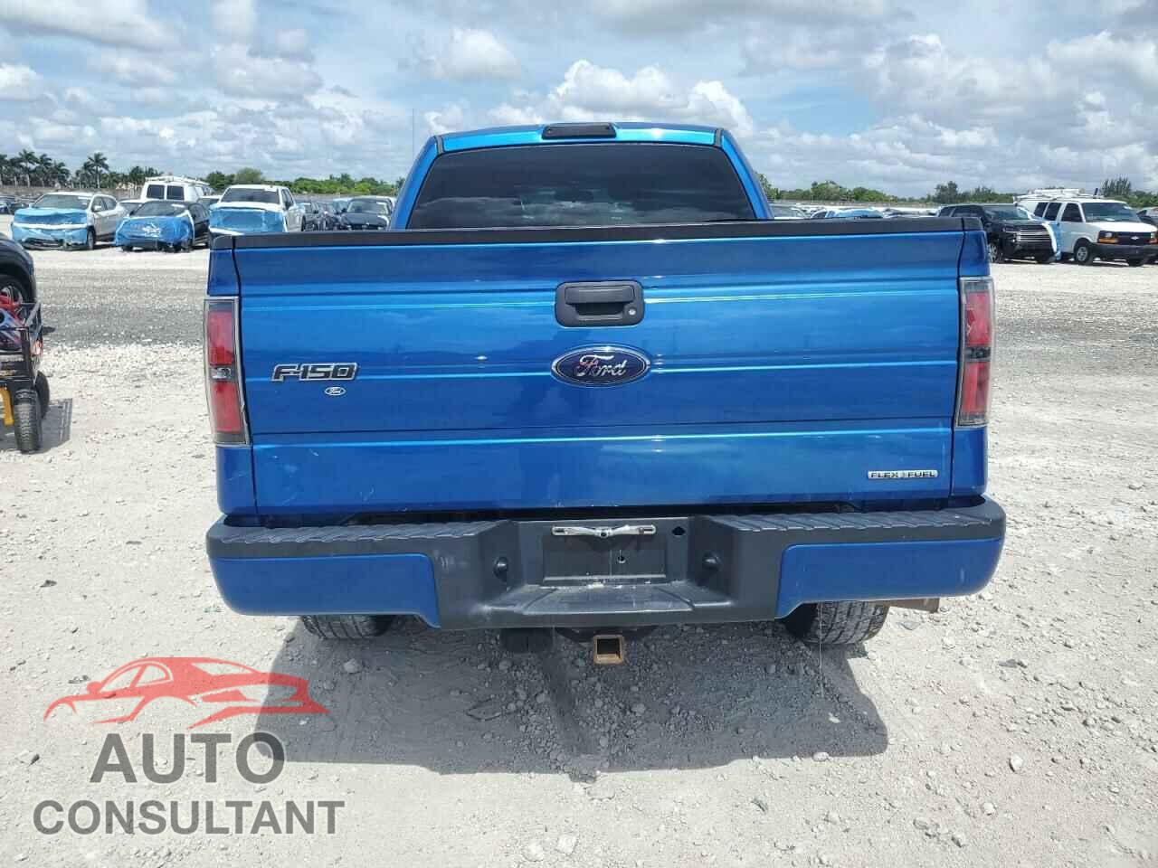 FORD F-150 2013 - 1FTFX1EFXDFD74546