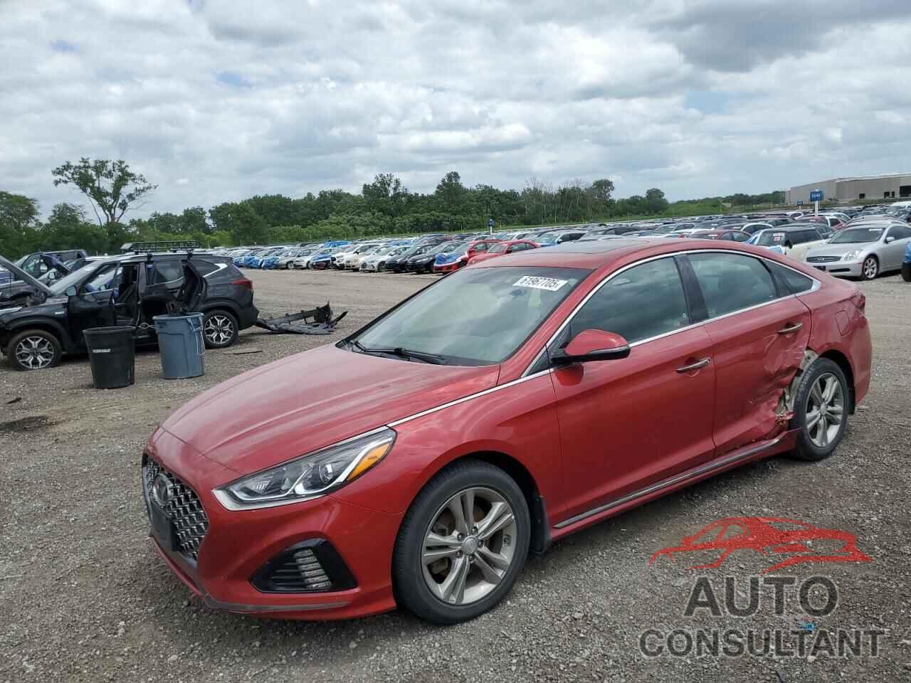 HYUNDAI SONATA 2019 - 5NPE34AF4KH760512