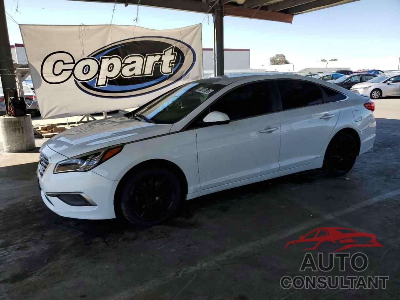 HYUNDAI SONATA 2017 - 5NPE24AF3HH471892