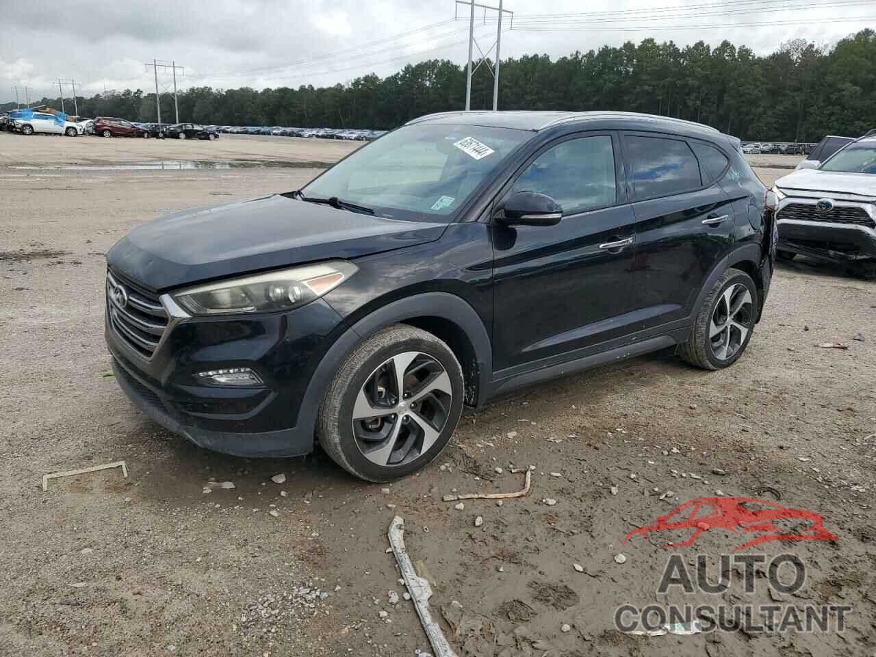 HYUNDAI TUCSON 2016 - KM8J33A20GU249779