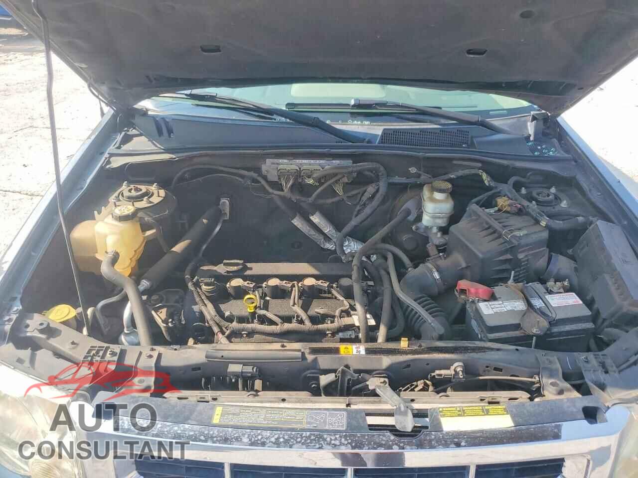 FORD ESCAPE 2010 - 1FMCU0D71AKB28192