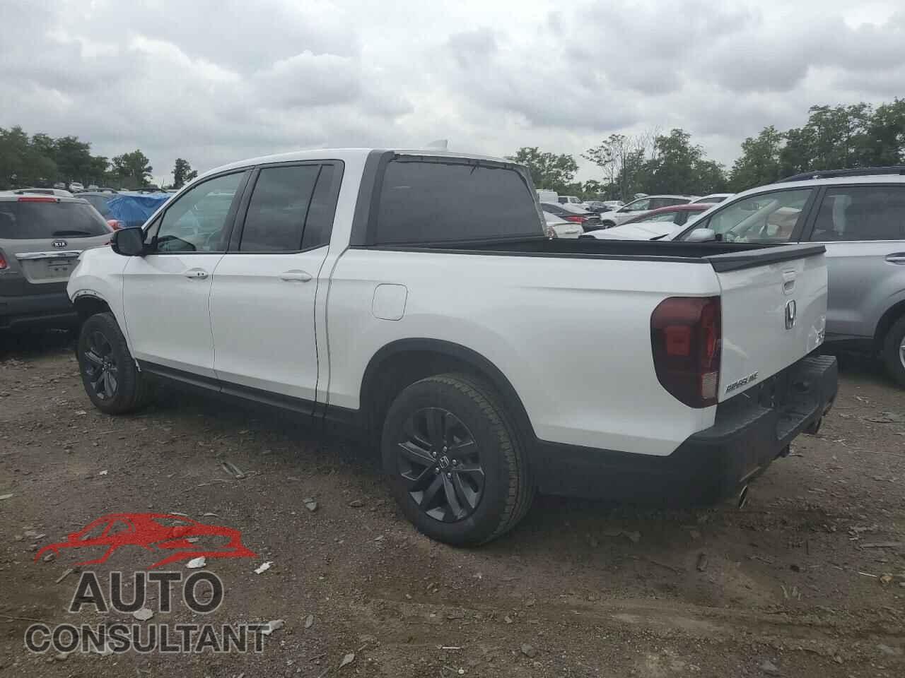 HONDA RIDGELINE 2023 - 5FPYK3F19PB044175