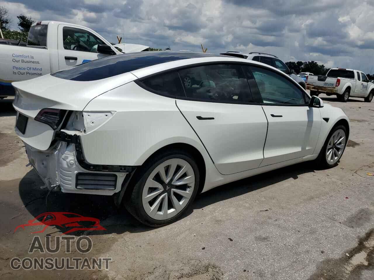 TESLA MODEL 3 2021 - 5YJ3E1EA2MF063856