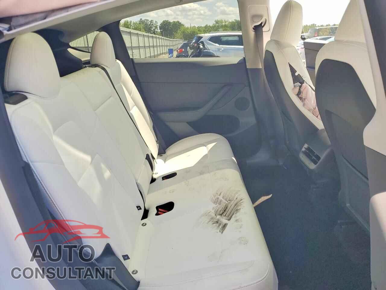 TESLA MODEL Y 2024 - 7SAYGDEE7RF213541