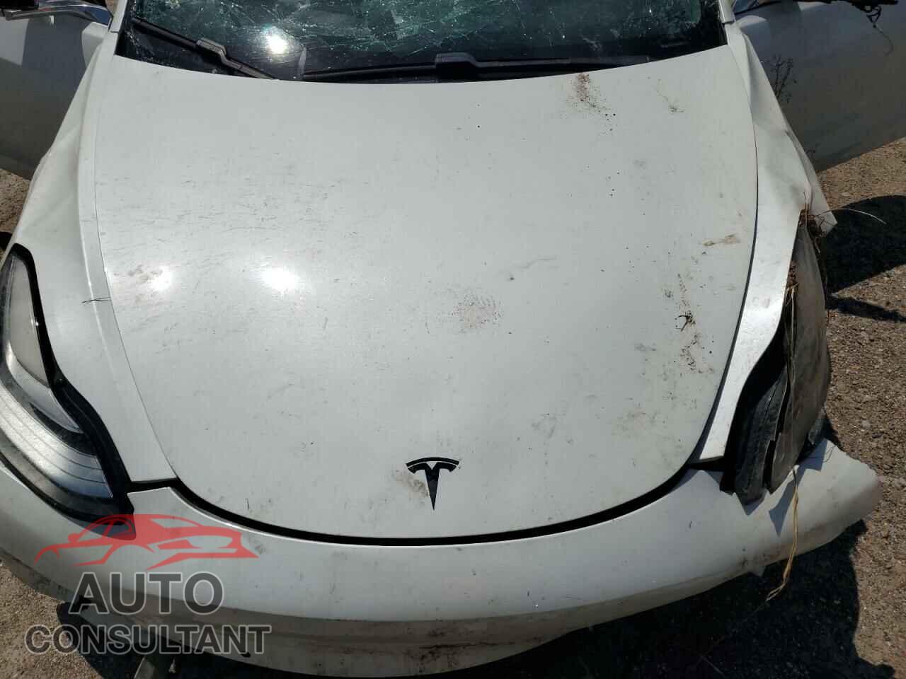TESLA MODEL 3 2019 - 5YJ3E1EA3KF485535