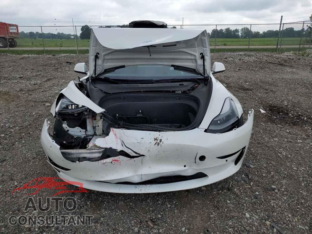 TESLA MODEL 3 2021 - 5YJ3E1EB2MF079855