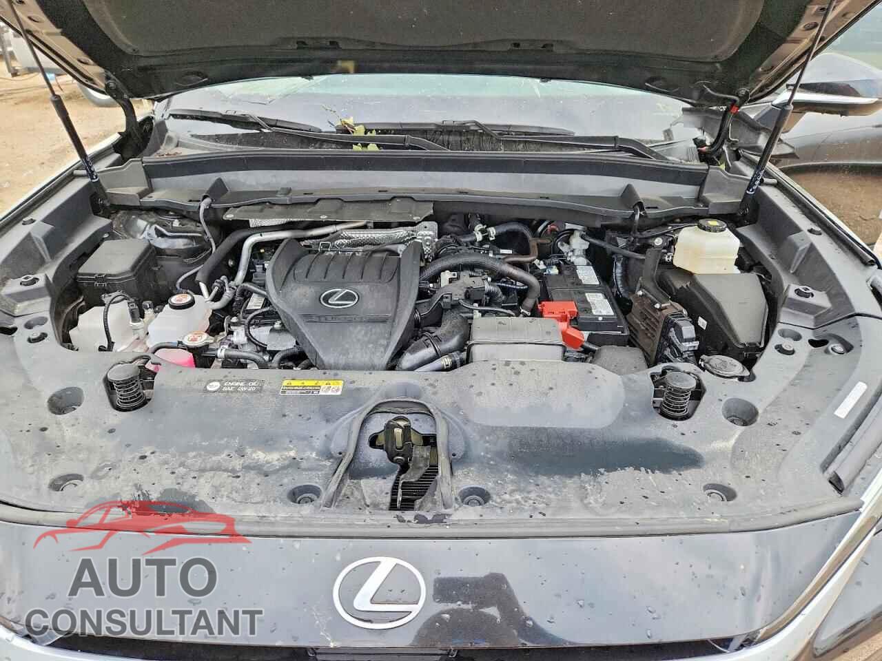 LEXUS UNKNOWN 2025 - 5TDAAAB66SS040026