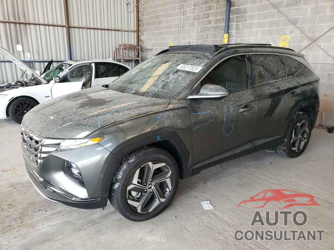 HYUNDAI TUCSON 2023 - 5NMJECAE4PH264513