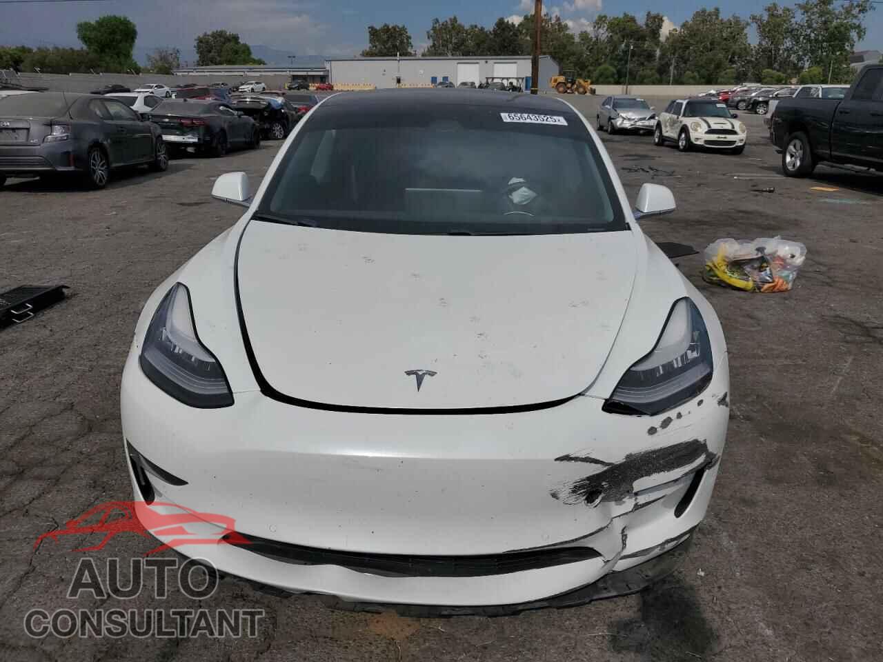 TESLA MODEL 3 2020 - 5YJ3E1EA1LF738028