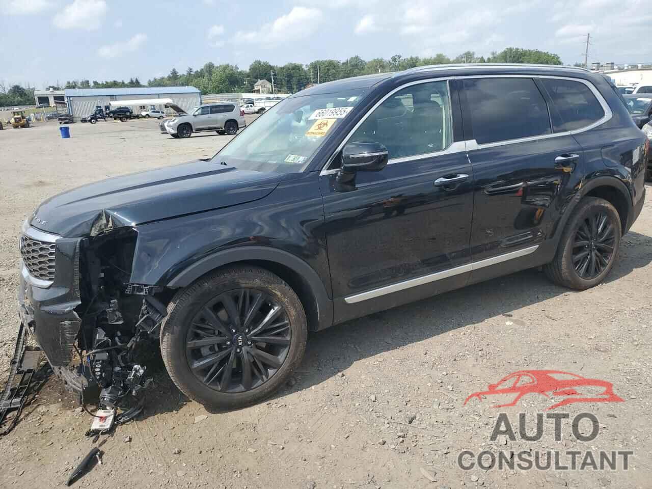 KIA TELLURIDE 2020 - 5XYP5DHC5LG047156