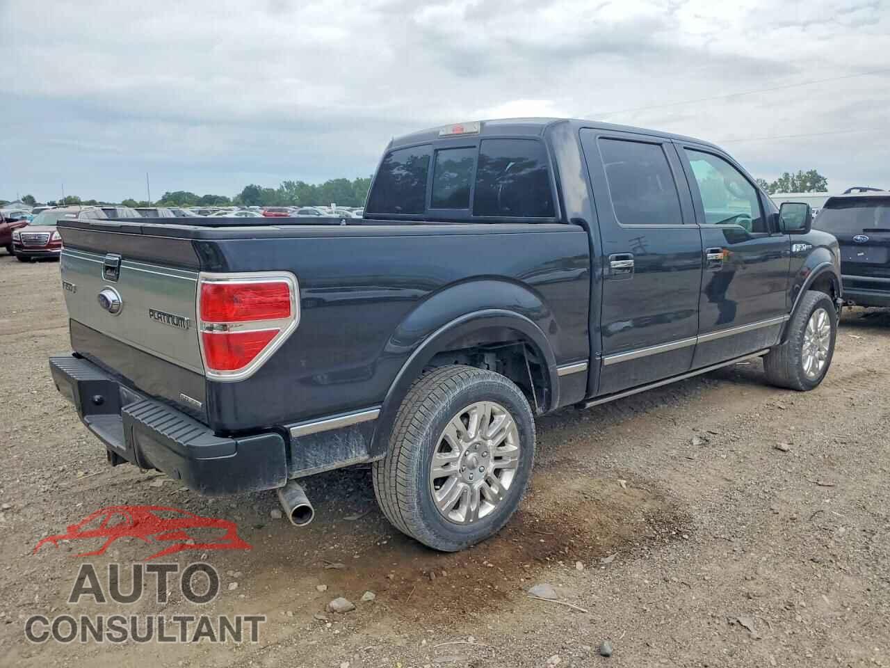 FORD F150 2013 - 1FTFW1EF1DFD25433
