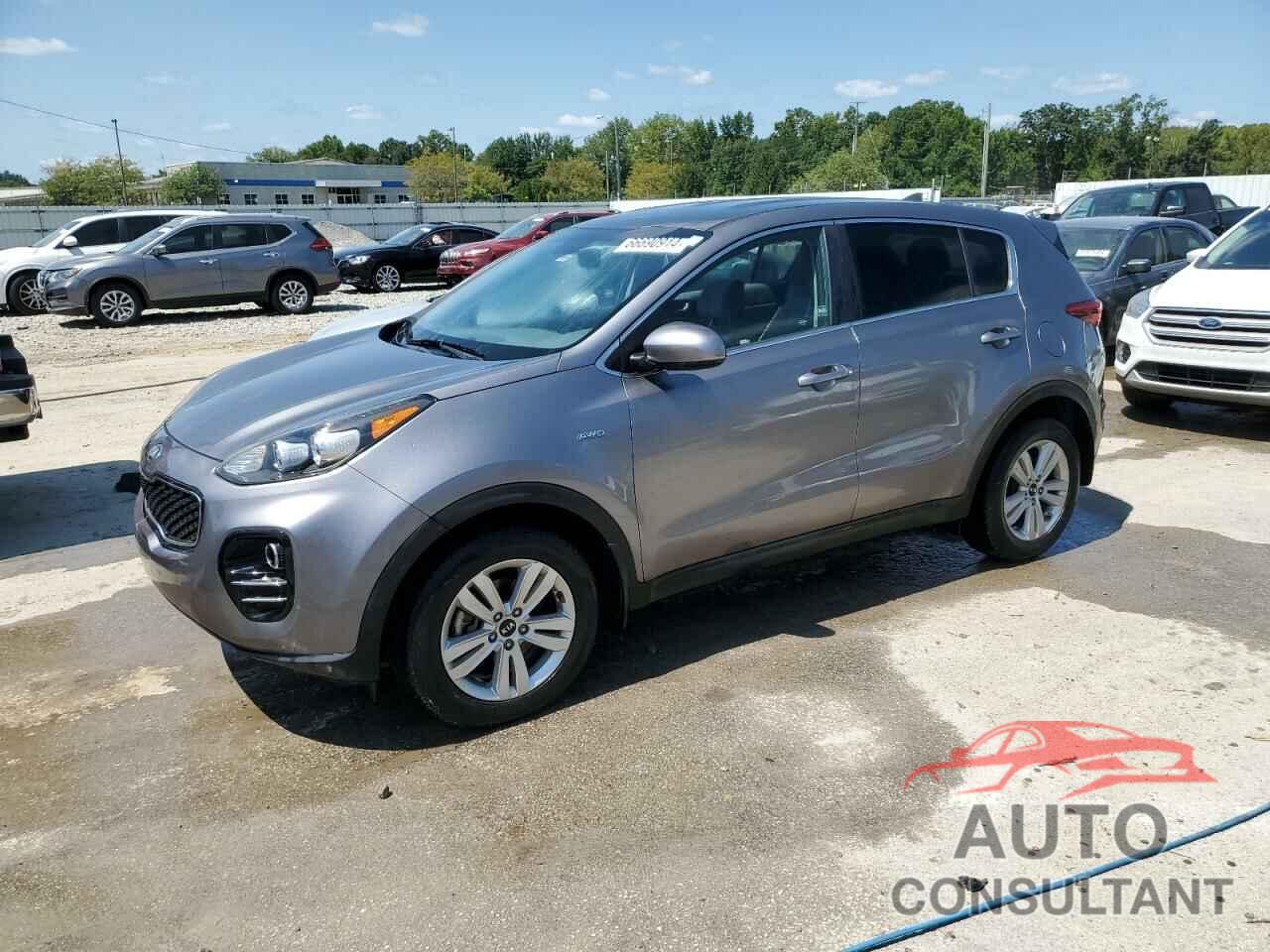 KIA SPORTAGE 2019 - KNDPMCAC3K7517090