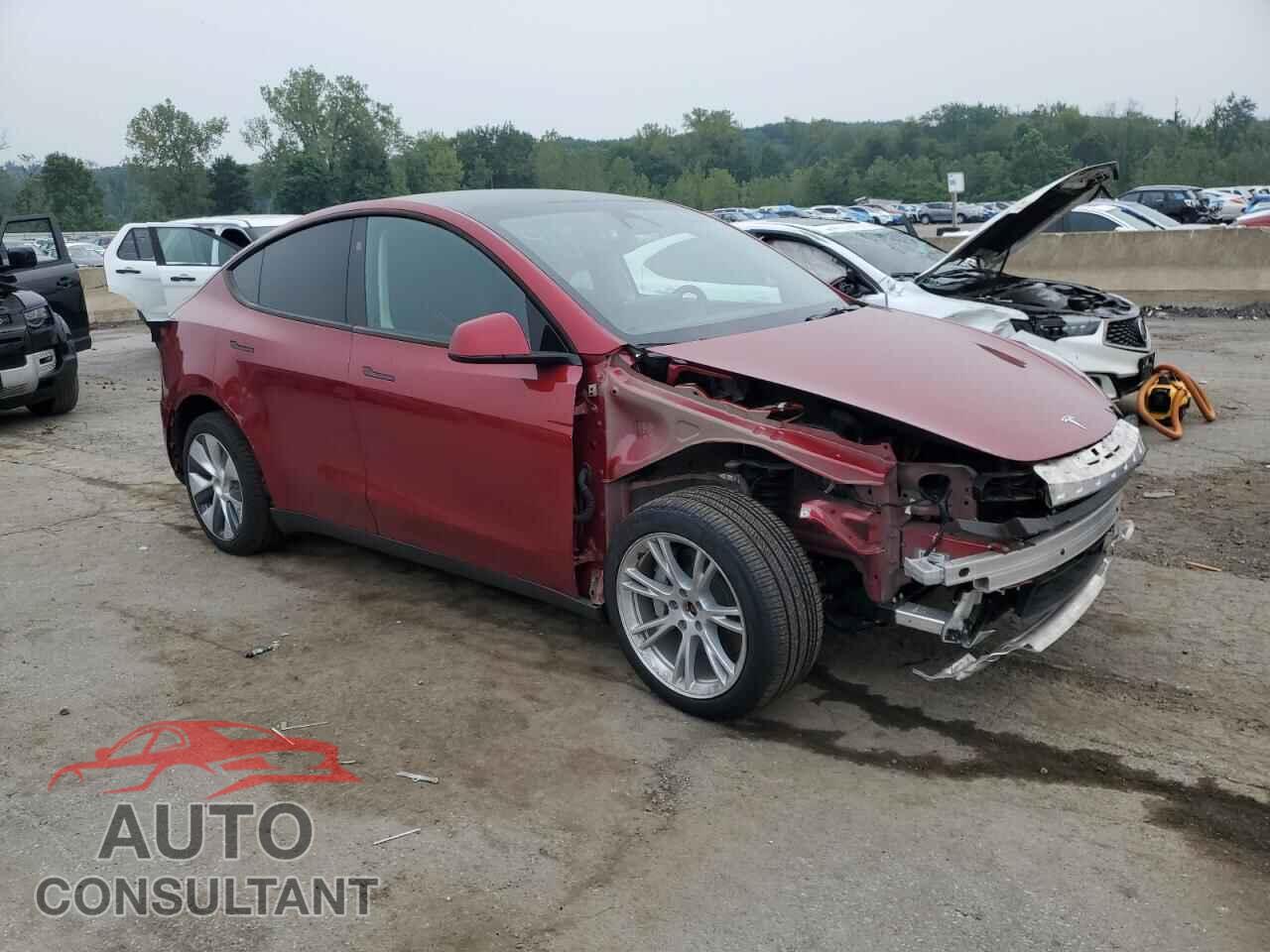 TESLA MODEL Y 2024 - 7SAYGDEEXRA276128