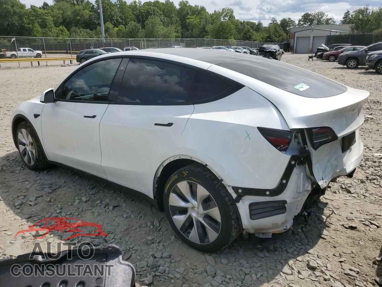 TESLA MODEL Y 2021 - 5YJYGDEEXMF200224