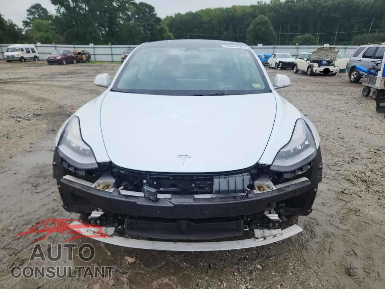 TESLA MODEL 3 2019 - 5YJ3E1EB2KF481520