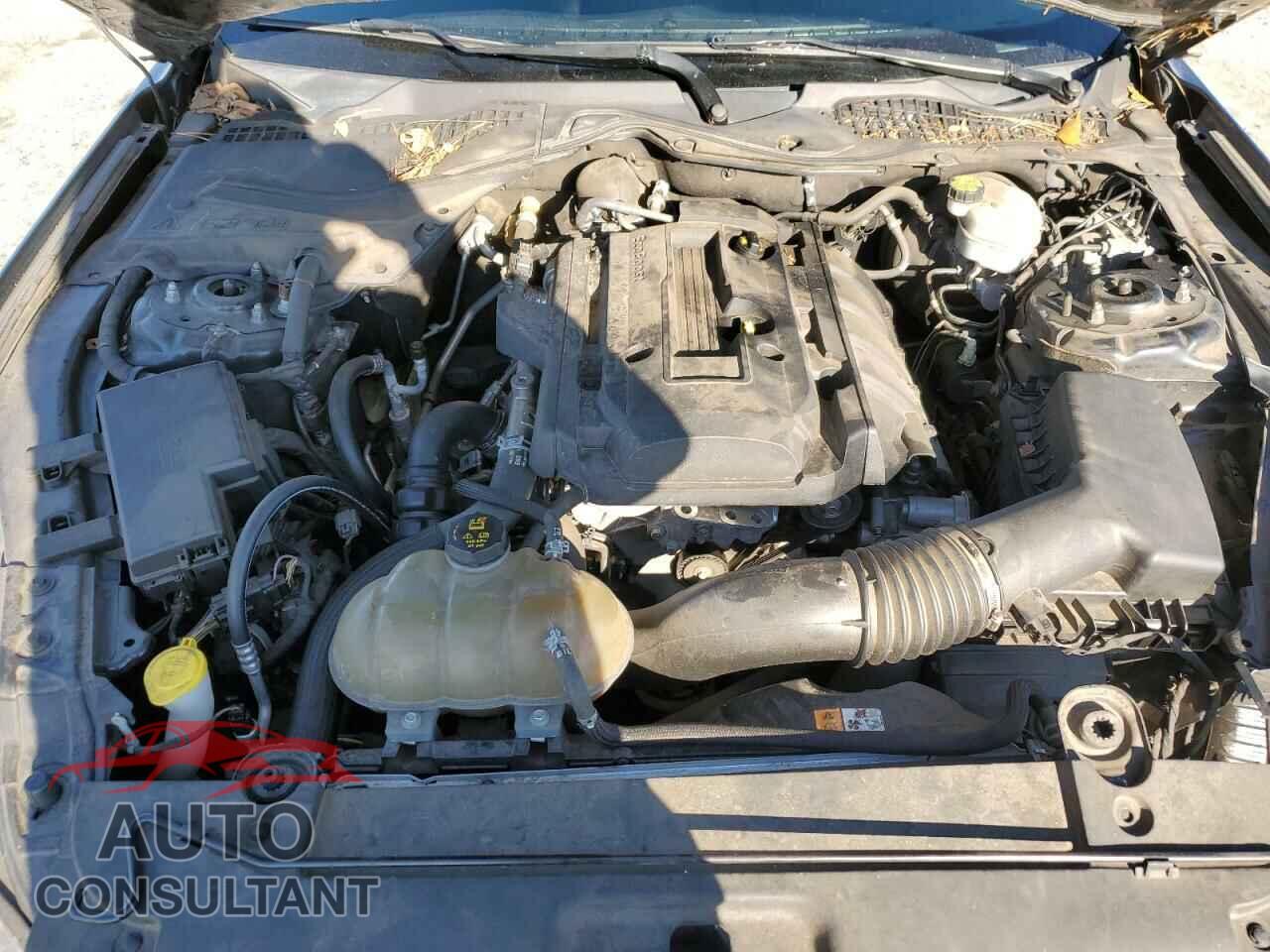 FORD MUSTANG 2017 - 1FA6P8TH2H5281891