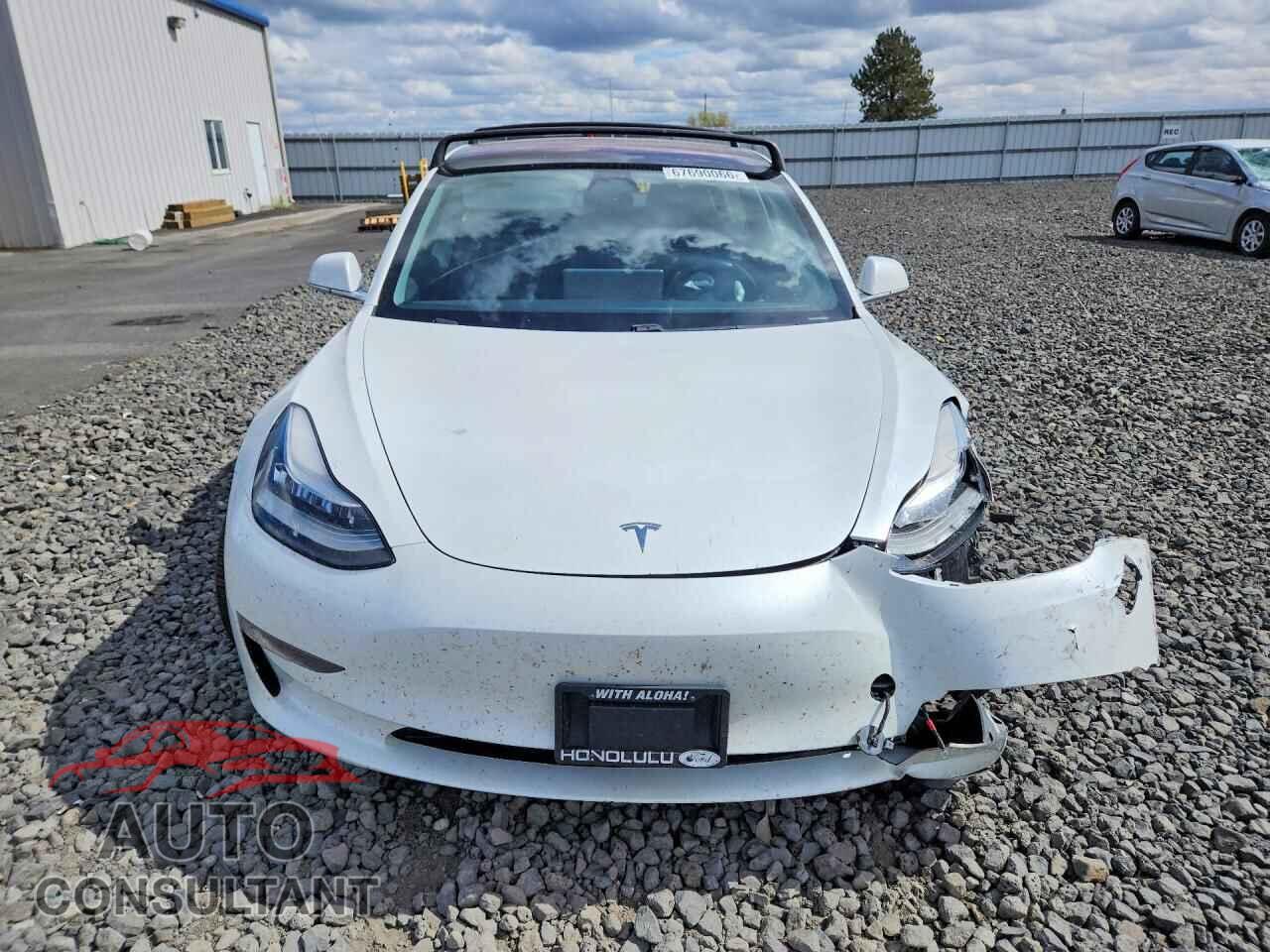 TESLA MODEL 3 2019 - 5YJ3E1EB1KF199773
