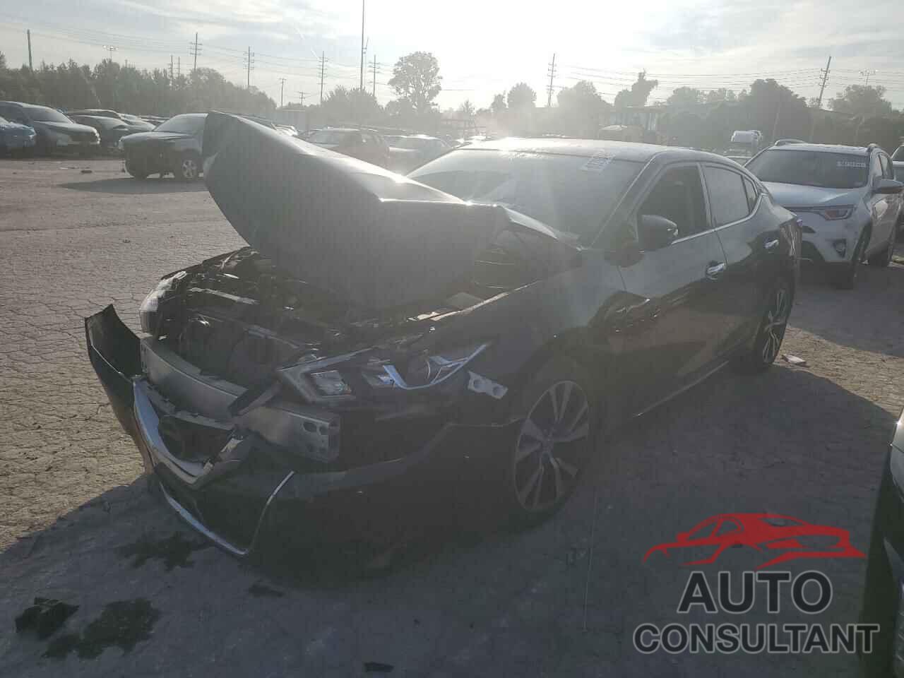 NISSAN MAXIMA 2017 - 1N4AA6AP7HC403246