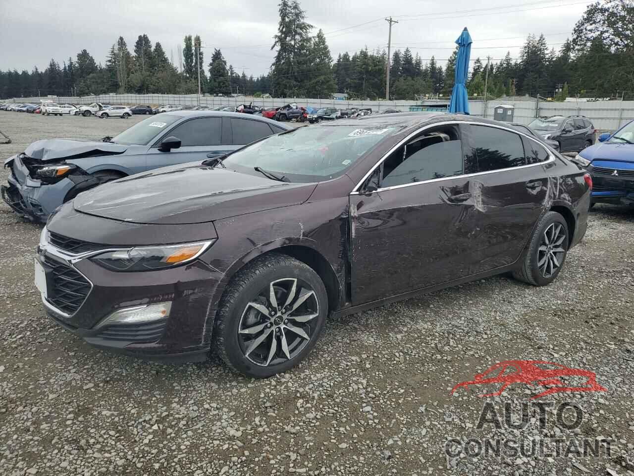 CHEVROLET MALIBU 2020 - 1G1ZG5ST0LF153382