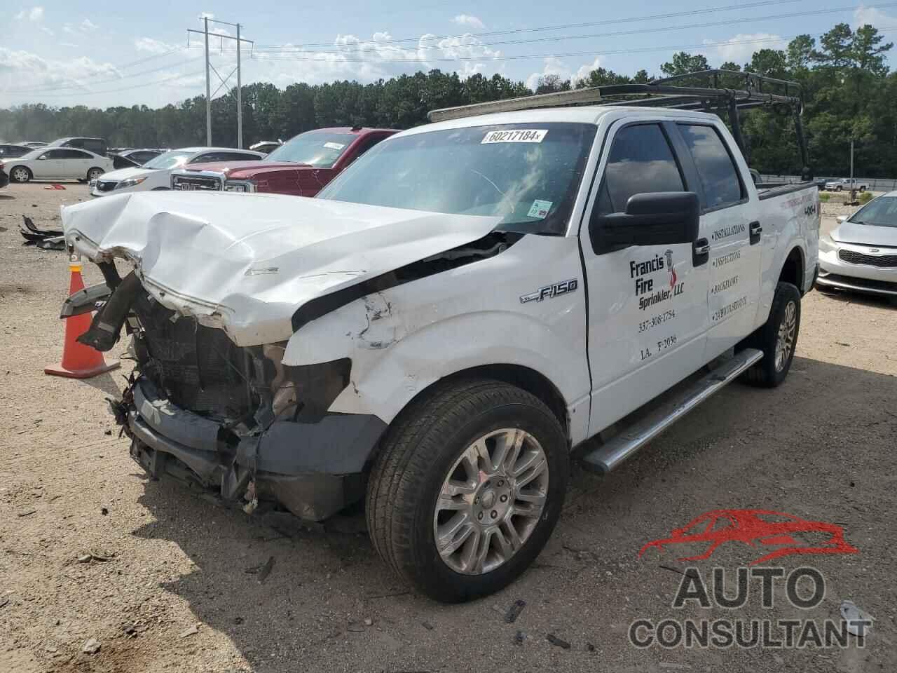 FORD F-150 2010 - 1FTFW1EV4AKE10793