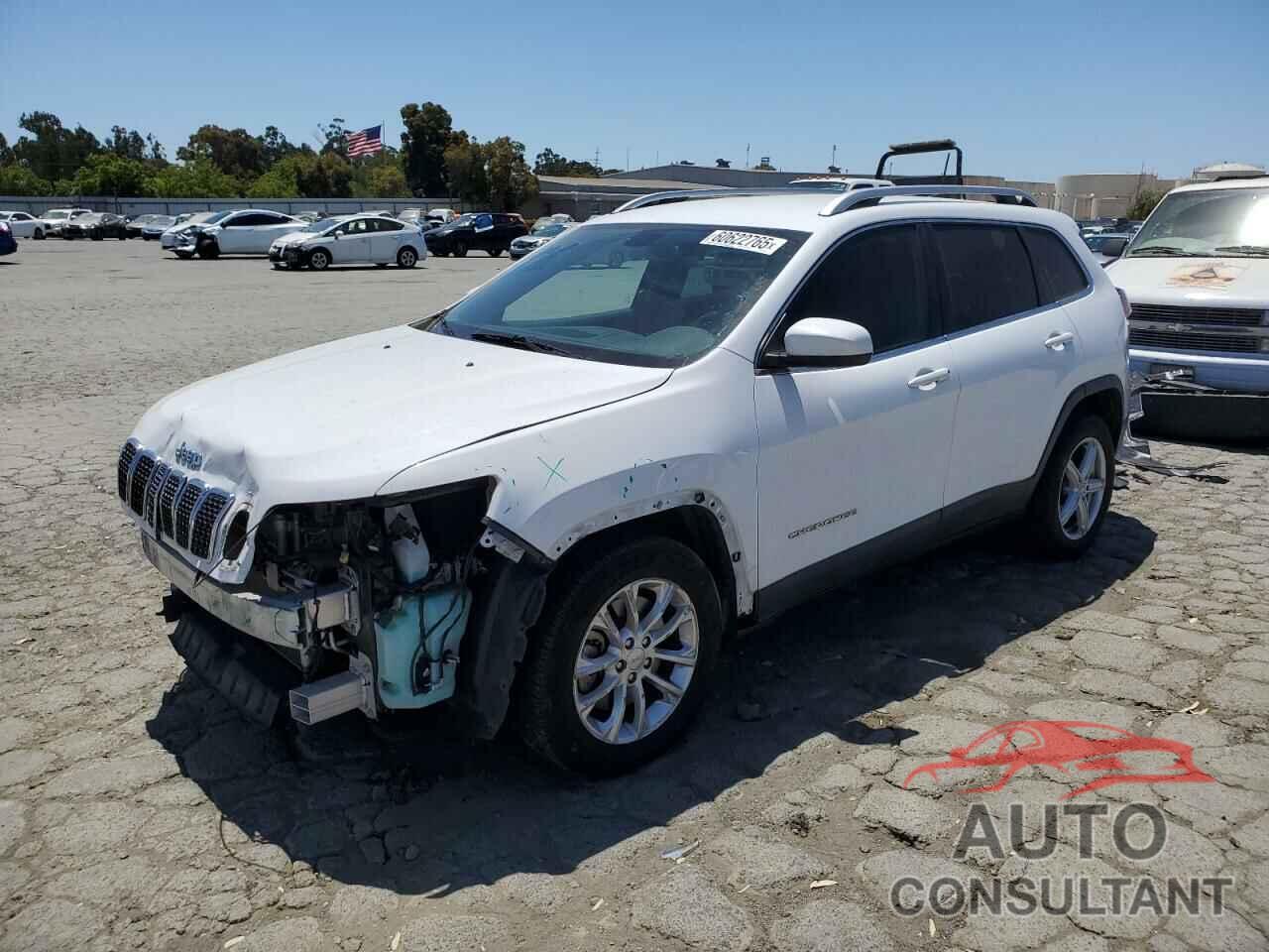 JEEP GRAND CHER 2019 - 1C4PJLCB0KD248870
