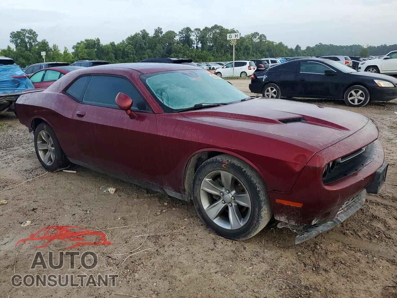 DODGE CHALLENGER 2019 - 2C3CDZAG5KH534664
