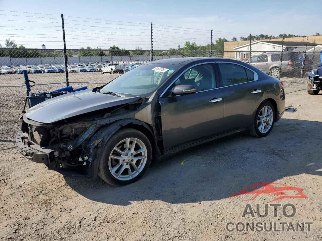 NISSAN MAXIMA 2011 - 1N4AA5AP5BC826389