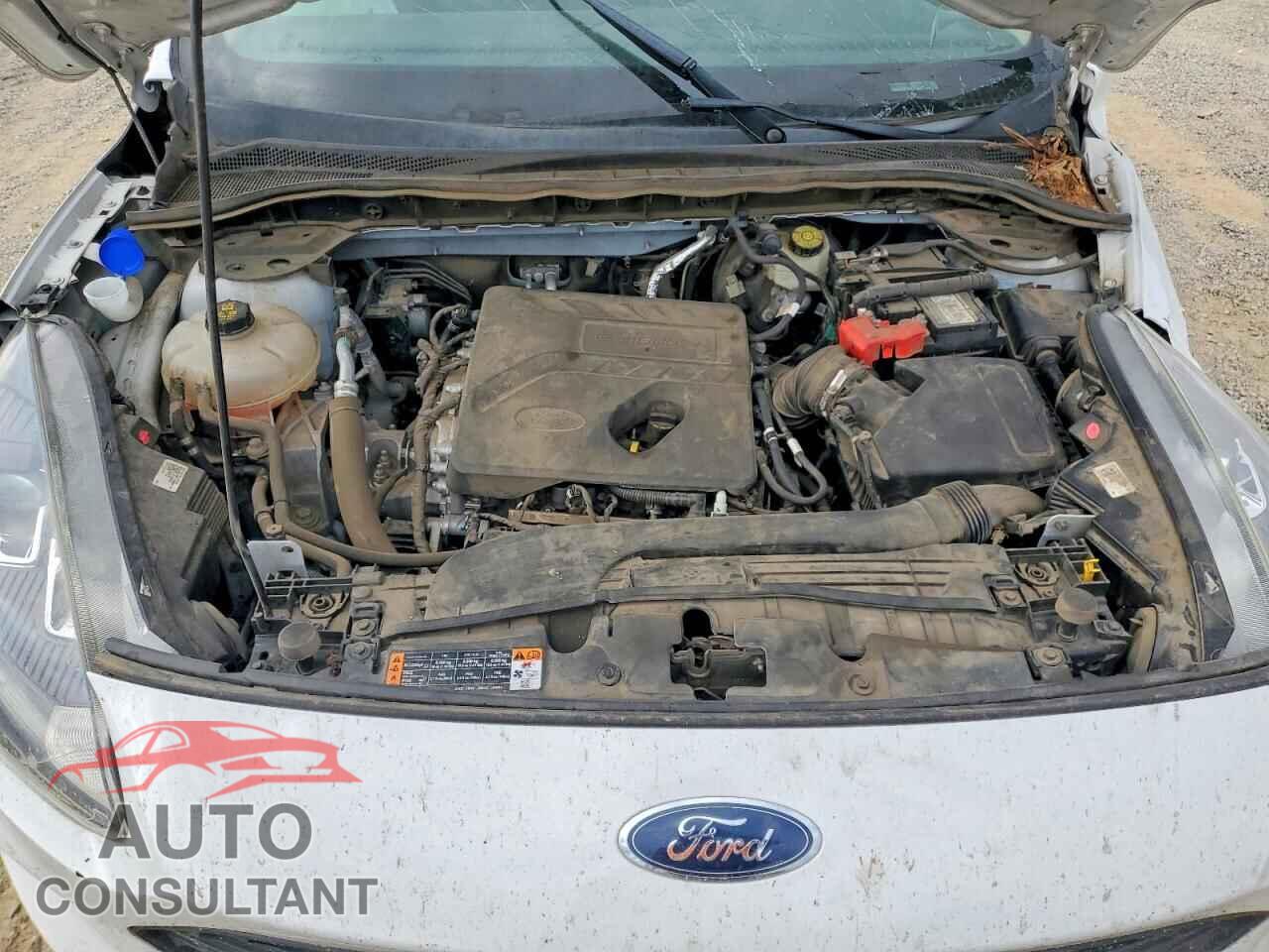 FORD ESCAPE 2020 - 1FMCU0F61LUA84271