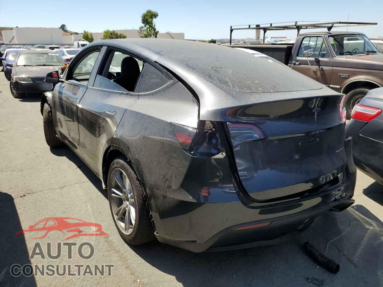TESLA MODEL Y 2024 - 7SAYGDEE5RF050128