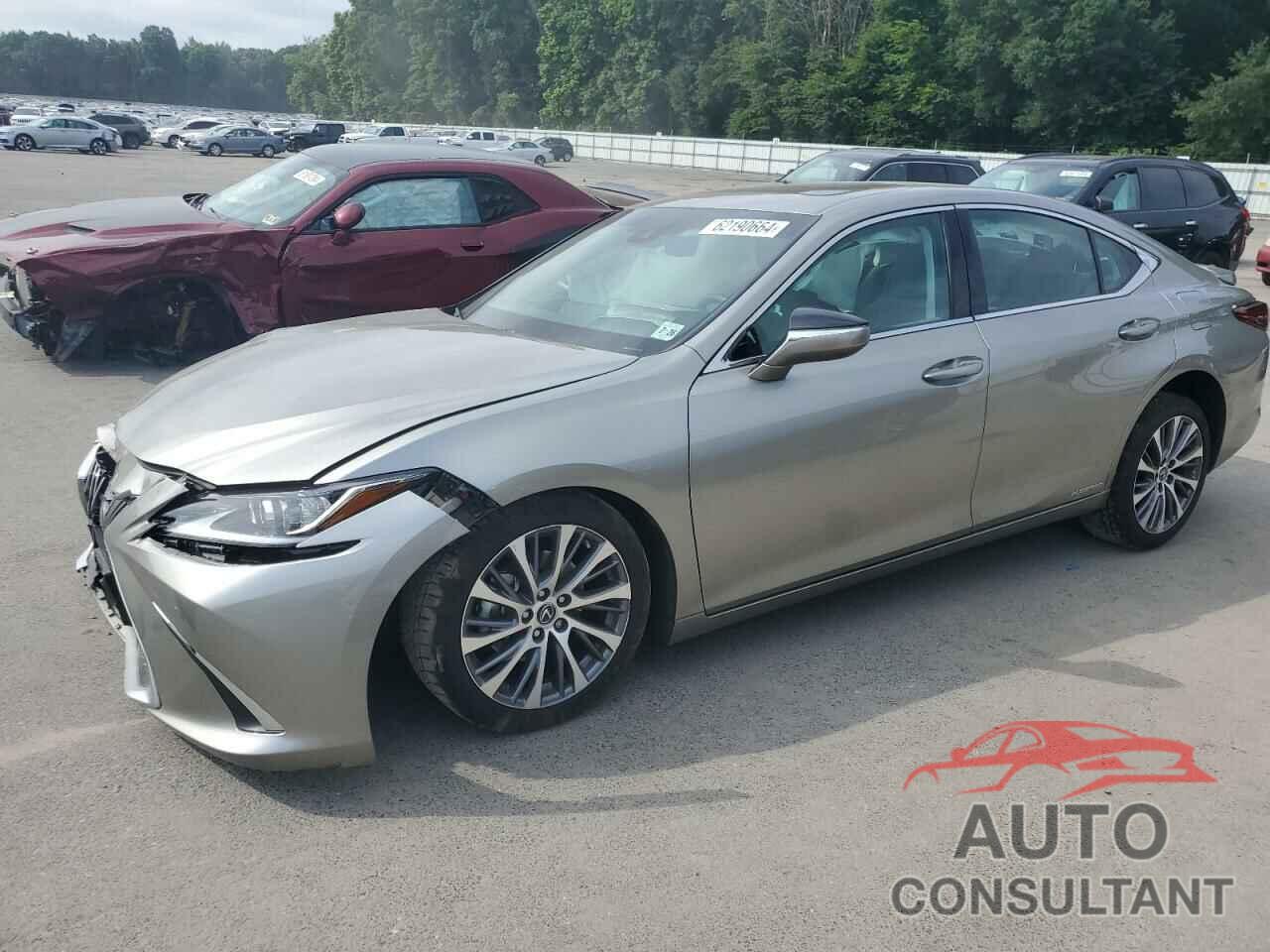 LEXUS ES300 2021 - 58ADA1C15MU010969