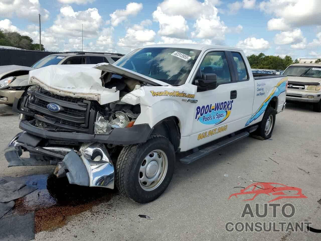 FORD F-150 2013 - 1FTFX1EF0DFC95791