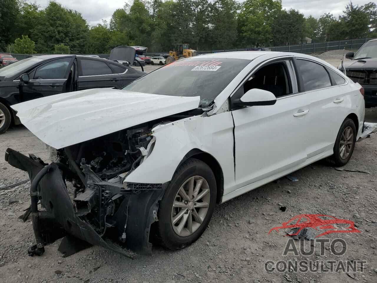 HYUNDAI SONATA 2019 - 5NPE24AF8KH775307