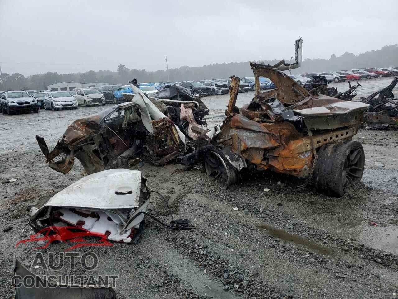 DODGE CHALLENGER 2019 - 2C3CDZC95KH741313