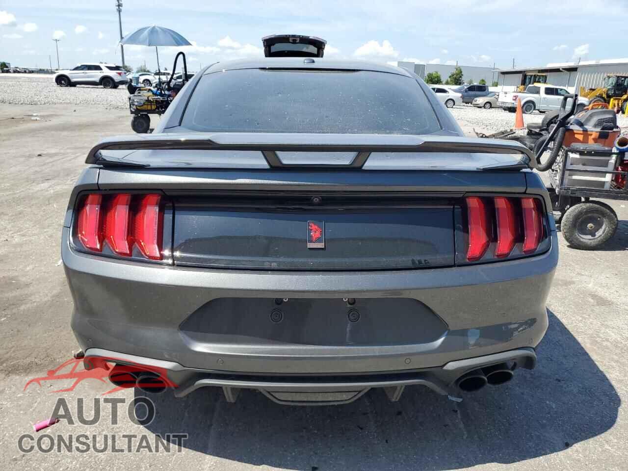 FORD MUSTANG 2019 - 1FA6P8CF6K5124497